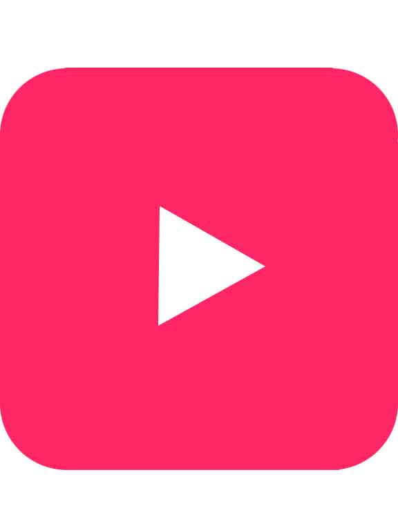 Стимулятор клитора Womanizer Pro